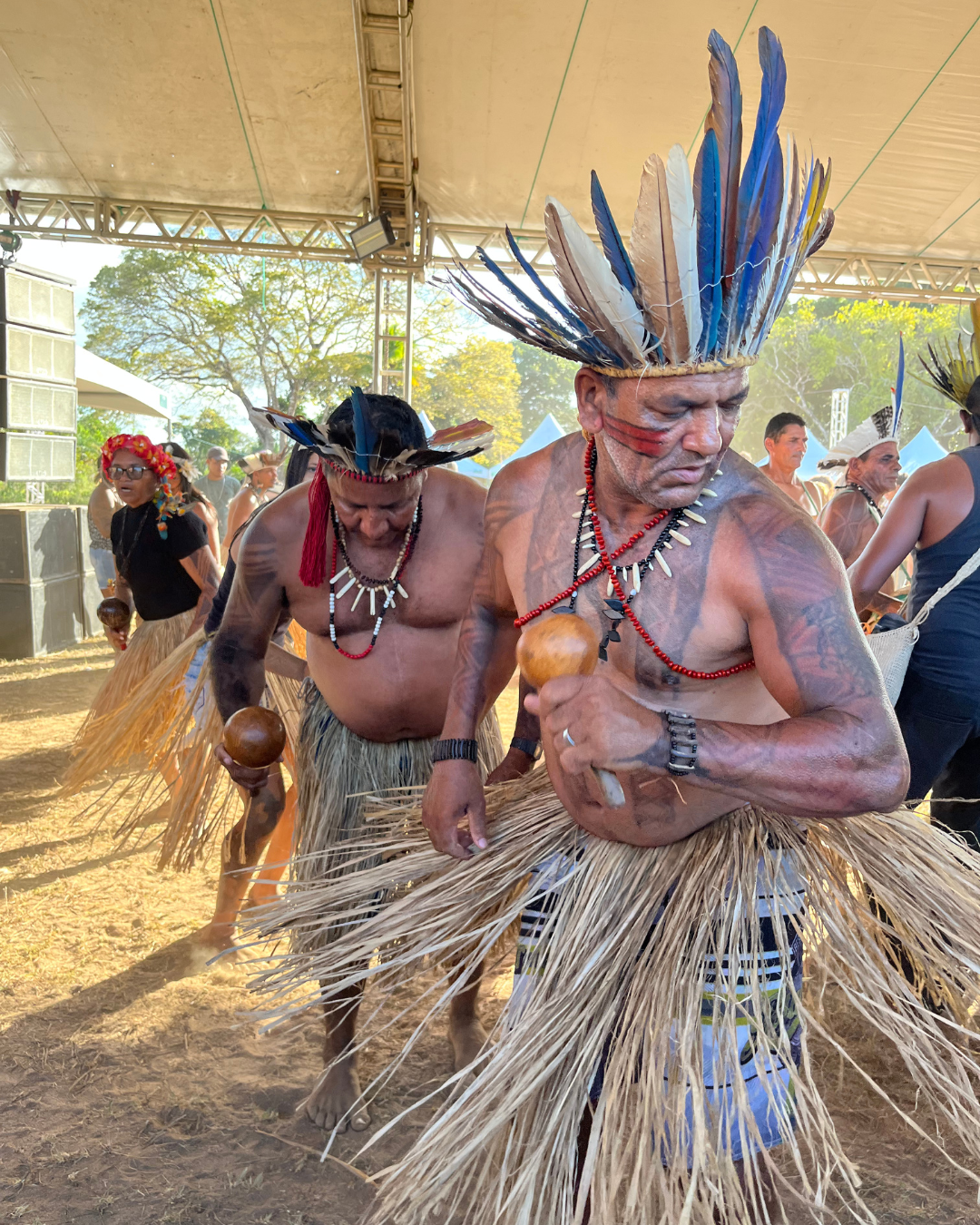 27/11/2025 - Quinta-feira